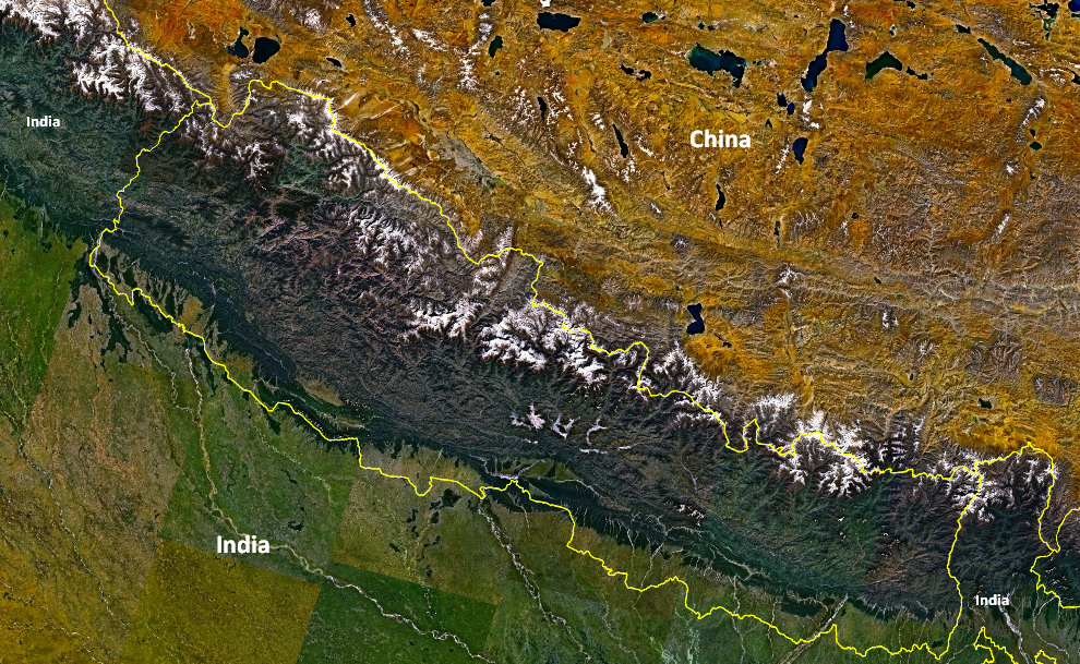 ६४ वर्ष पछि फेला पर्यो अनौठो चरा, आधा मानिस, आधा पंक्षी !