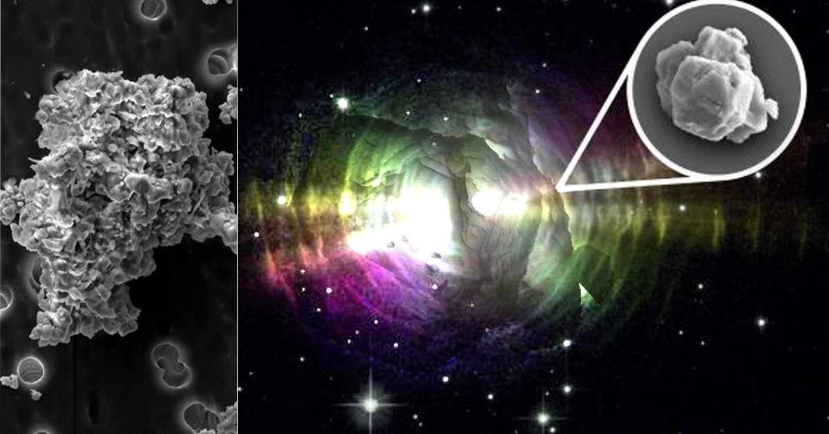 ६४ वर्ष पछि फेला पर्यो अनौठो चरा, आधा मानिस, आधा पंक्षी !