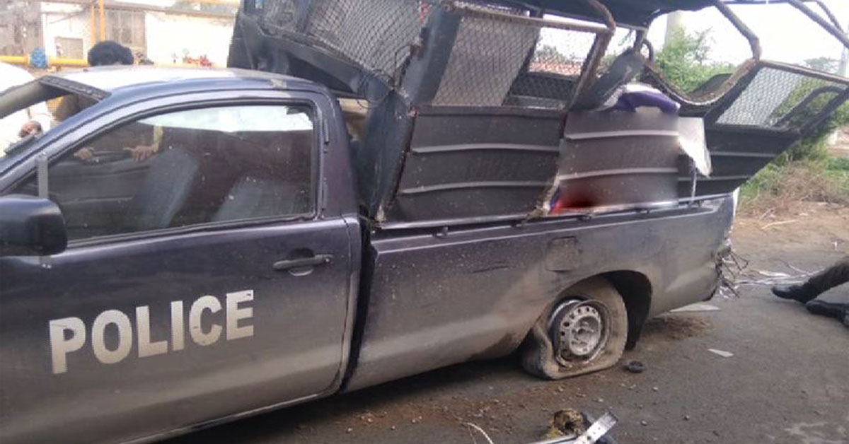 ६४ वर्ष पछि फेला पर्यो अनौठो चरा, आधा मानिस, आधा पंक्षी !