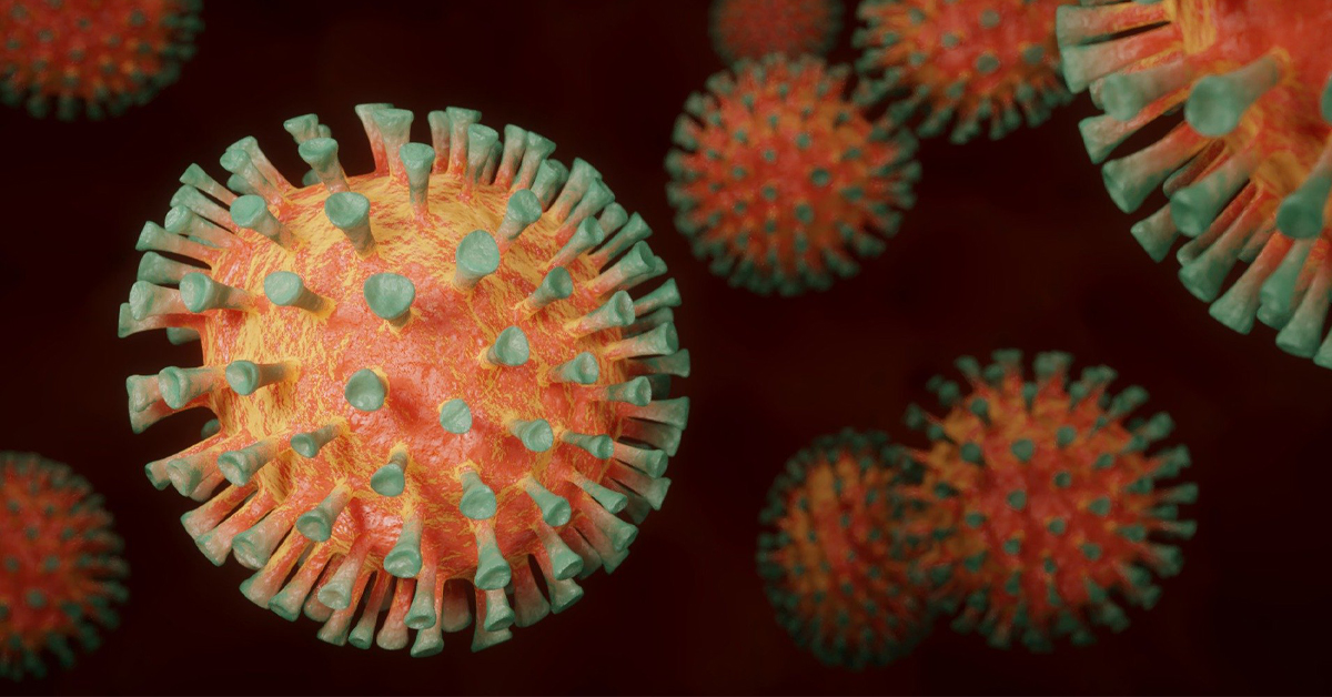 ६४ वर्ष पछि फेला पर्यो अनौठो चरा, आधा मानिस, आधा पंक्षी !