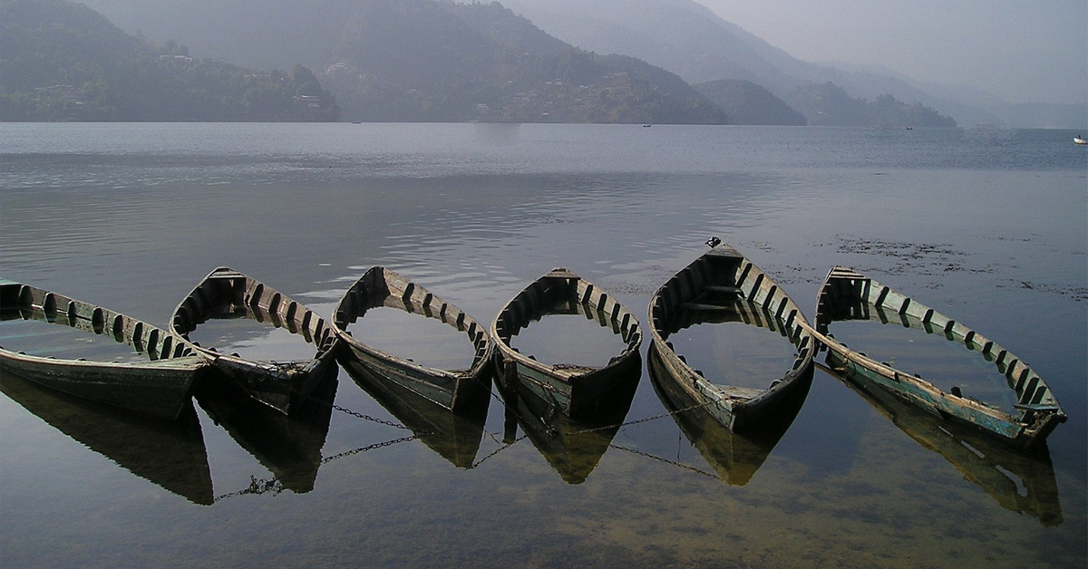 ६४ वर्ष पछि फेला पर्यो अनौठो चरा, आधा मानिस, आधा पंक्षी !