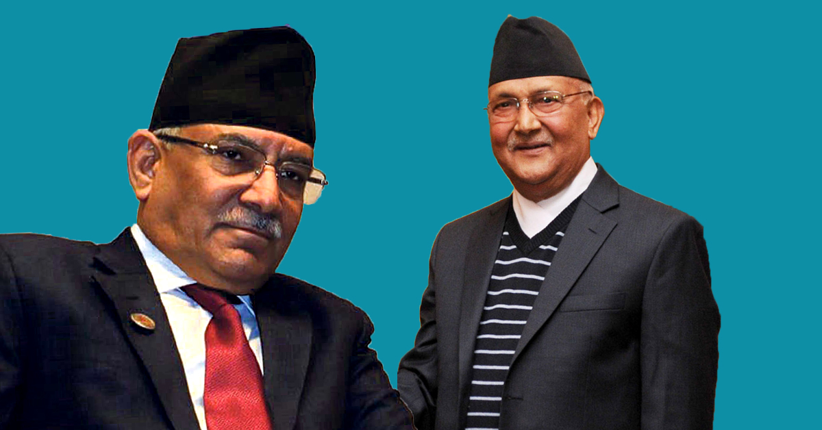 ६४ वर्ष पछि फेला पर्यो अनौठो चरा, आधा मानिस, आधा पंक्षी !