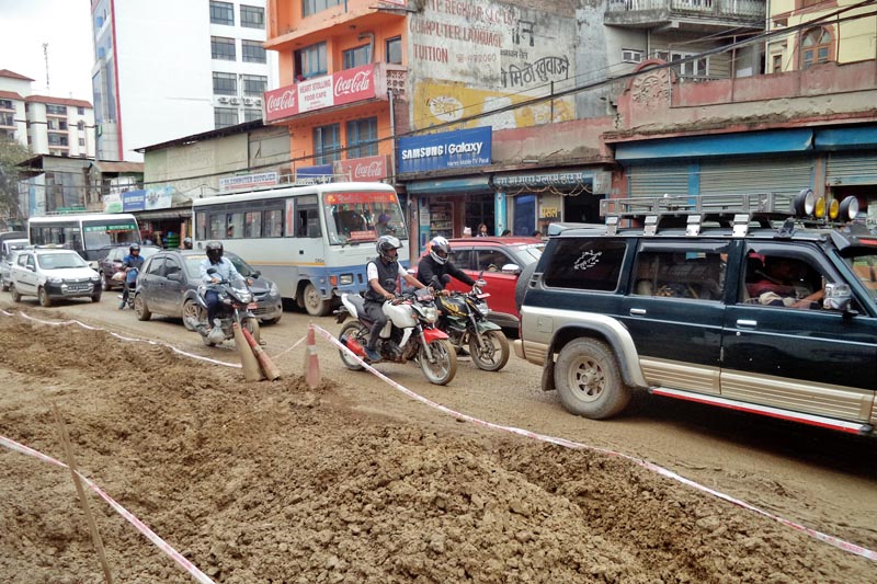 ६४ वर्ष पछि फेला पर्यो अनौठो चरा, आधा मानिस, आधा पंक्षी !