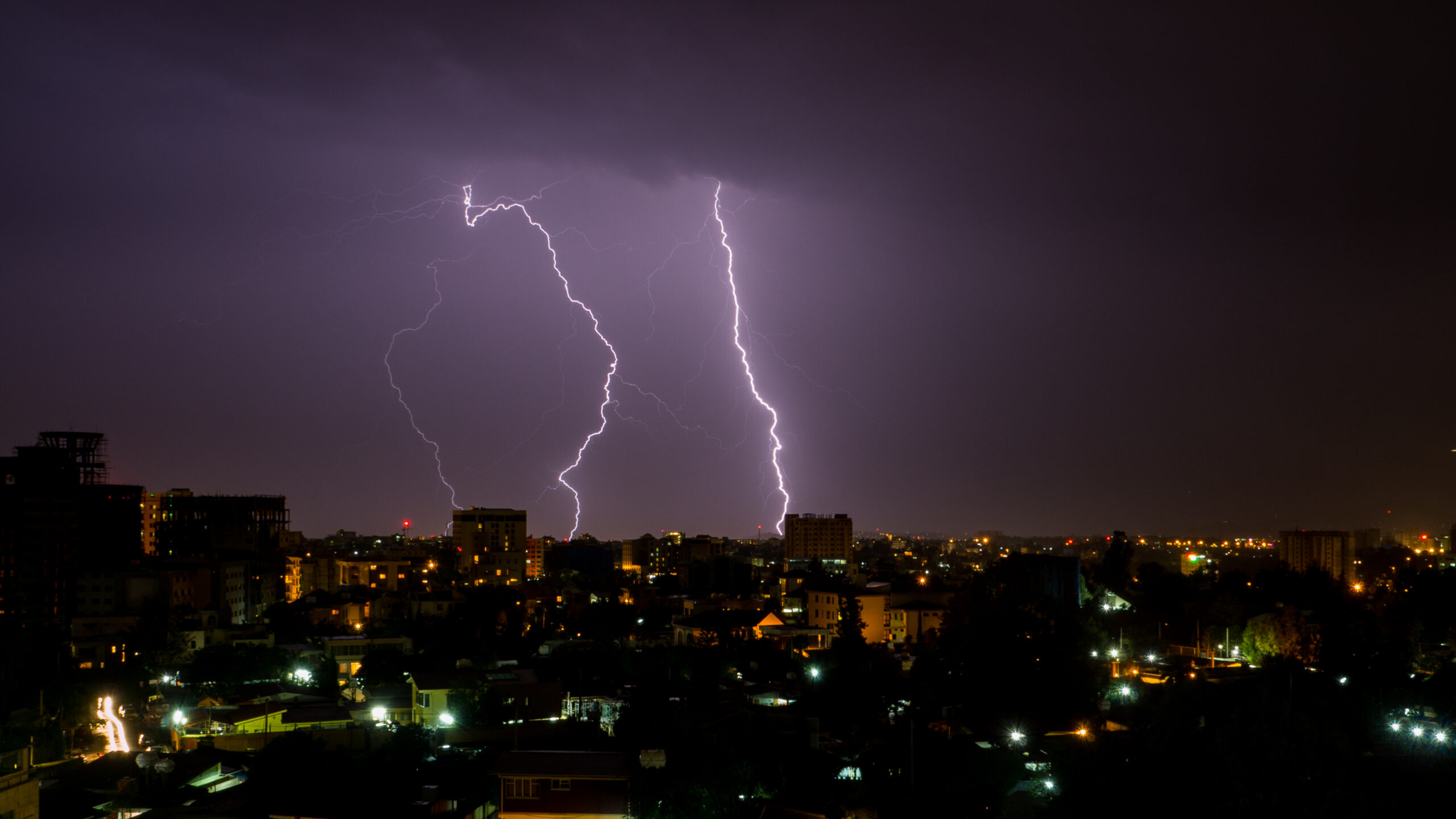 ६४ वर्ष पछि फेला पर्यो अनौठो चरा, आधा मानिस, आधा पंक्षी !