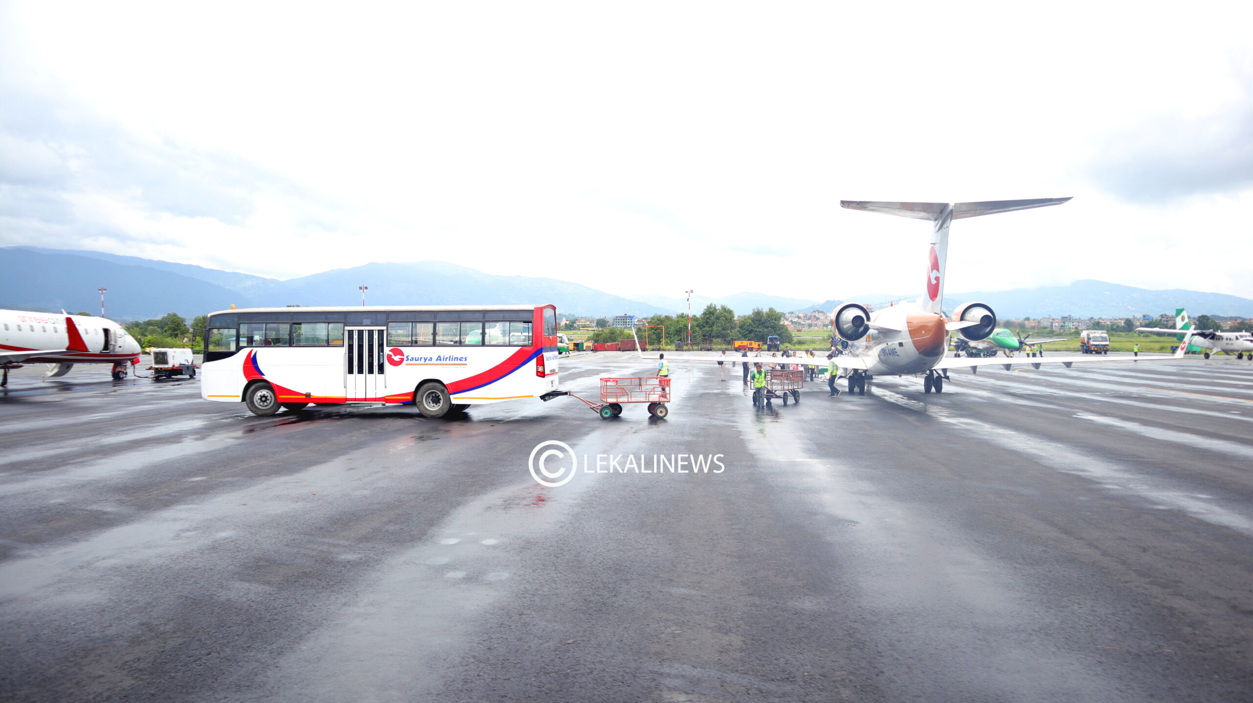 ६४ वर्ष पछि फेला पर्यो अनौठो चरा, आधा मानिस, आधा पंक्षी !