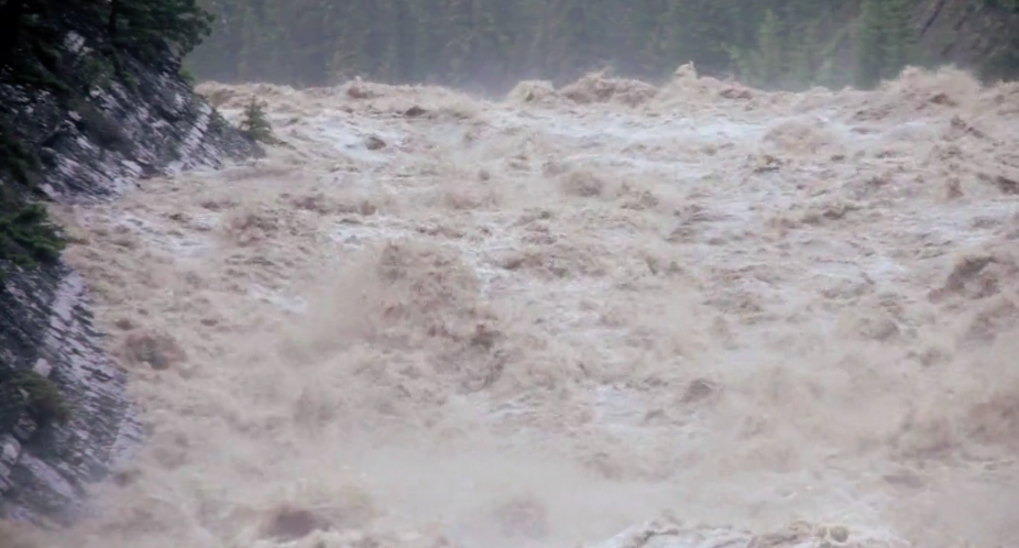 ६४ वर्ष पछि फेला पर्यो अनौठो चरा, आधा मानिस, आधा पंक्षी !