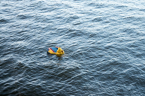 ६४ वर्ष पछि फेला पर्यो अनौठो चरा, आधा मानिस, आधा पंक्षी !