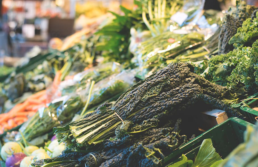 ६४ वर्ष पछि फेला पर्यो अनौठो चरा, आधा मानिस, आधा पंक्षी !