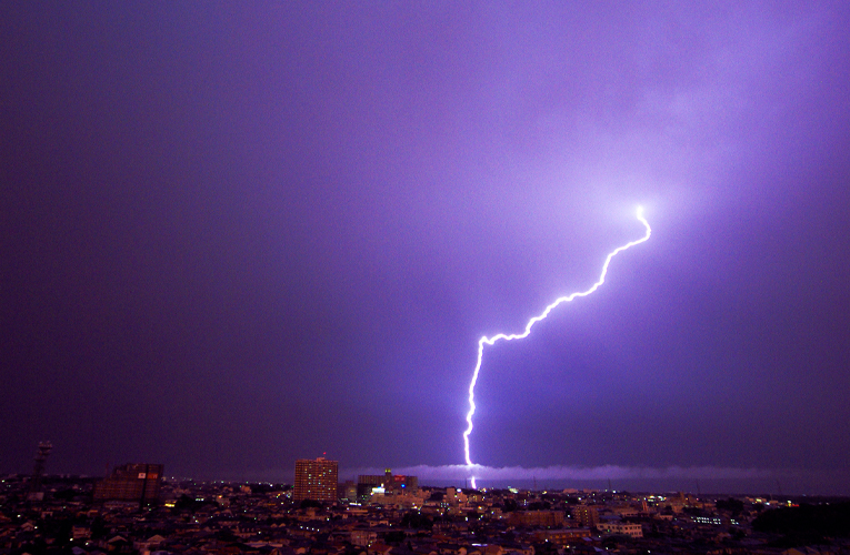 ६४ वर्ष पछि फेला पर्यो अनौठो चरा, आधा मानिस, आधा पंक्षी !