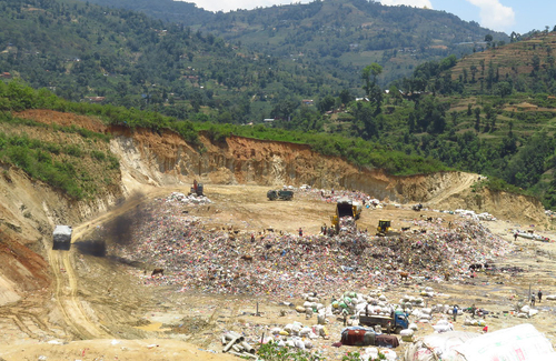 ६४ वर्ष पछि फेला पर्यो अनौठो चरा, आधा मानिस, आधा पंक्षी !
