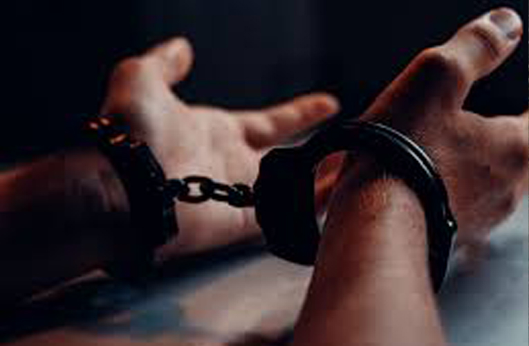 ६४ वर्ष पछि फेला पर्यो अनौठो चरा, आधा मानिस, आधा पंक्षी !