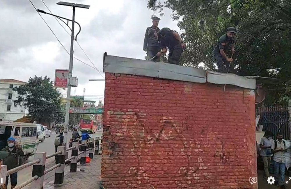 ६४ वर्ष पछि फेला पर्यो अनौठो चरा, आधा मानिस, आधा पंक्षी !