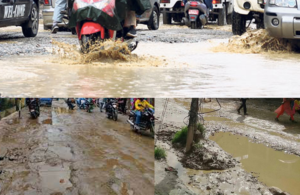 ६४ वर्ष पछि फेला पर्यो अनौठो चरा, आधा मानिस, आधा पंक्षी !