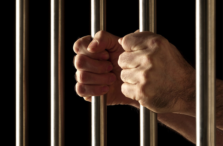 ६४ वर्ष पछि फेला पर्यो अनौठो चरा, आधा मानिस, आधा पंक्षी !