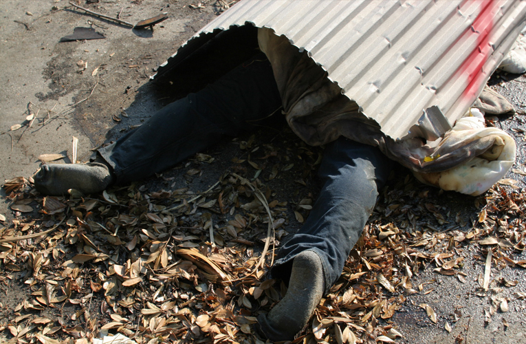 ६४ वर्ष पछि फेला पर्यो अनौठो चरा, आधा मानिस, आधा पंक्षी !