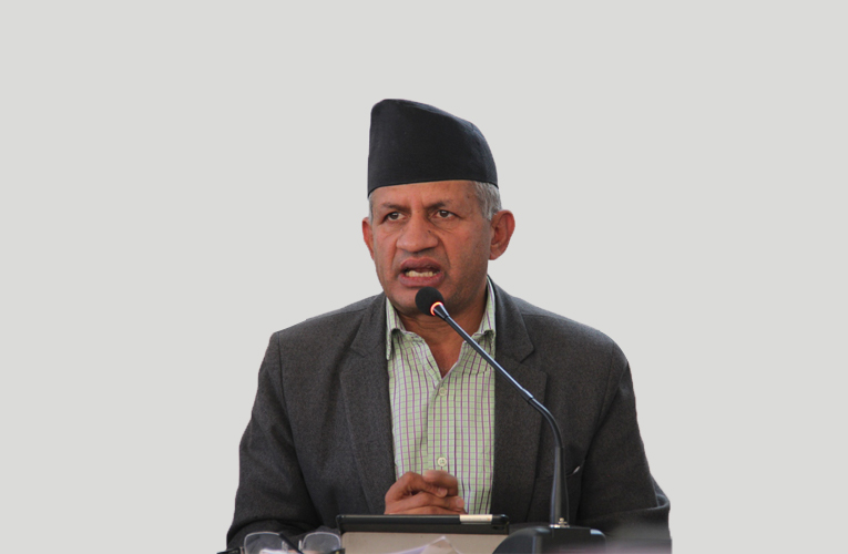 नागरिकता विधेयक टाउको गन्ने विषय होइन : प्रदीप ज्ञवाली