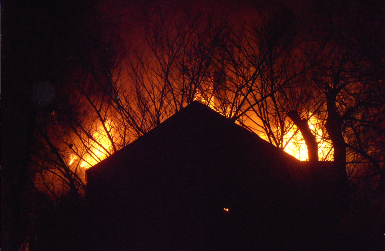६४ वर्ष पछि फेला पर्यो अनौठो चरा, आधा मानिस, आधा पंक्षी !