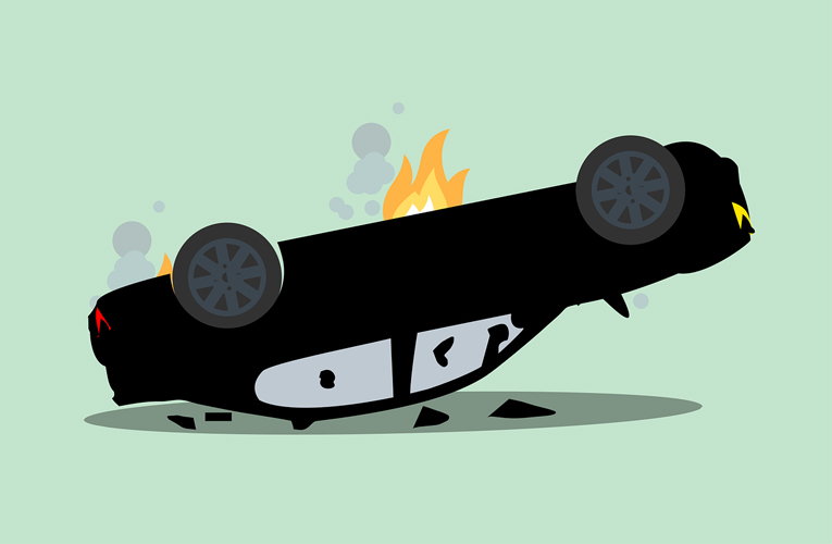 ६४ वर्ष पछि फेला पर्यो अनौठो चरा, आधा मानिस, आधा पंक्षी !