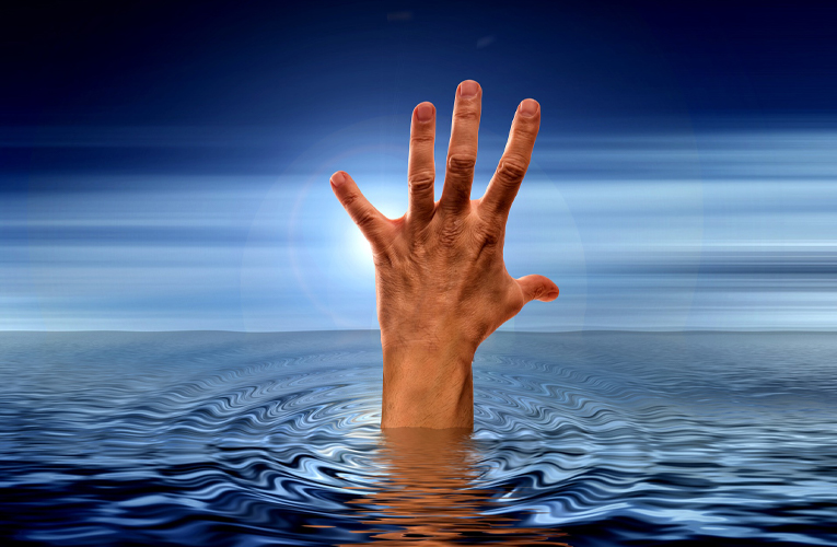 ६४ वर्ष पछि फेला पर्यो अनौठो चरा, आधा मानिस, आधा पंक्षी !