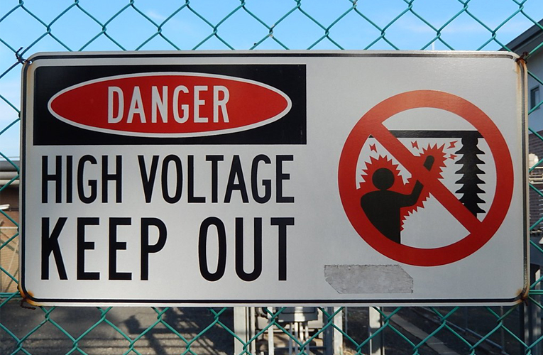 ६४ वर्ष पछि फेला पर्यो अनौठो चरा, आधा मानिस, आधा पंक्षी !