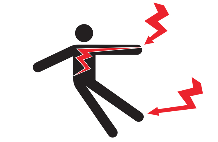 ६४ वर्ष पछि फेला पर्यो अनौठो चरा, आधा मानिस, आधा पंक्षी !