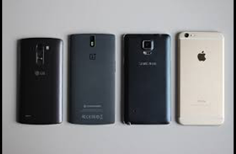 ६४ वर्ष पछि फेला पर्यो अनौठो चरा, आधा मानिस, आधा पंक्षी !