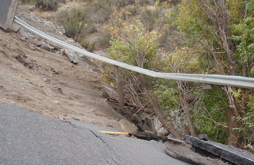 ६४ वर्ष पछि फेला पर्यो अनौठो चरा, आधा मानिस, आधा पंक्षी !