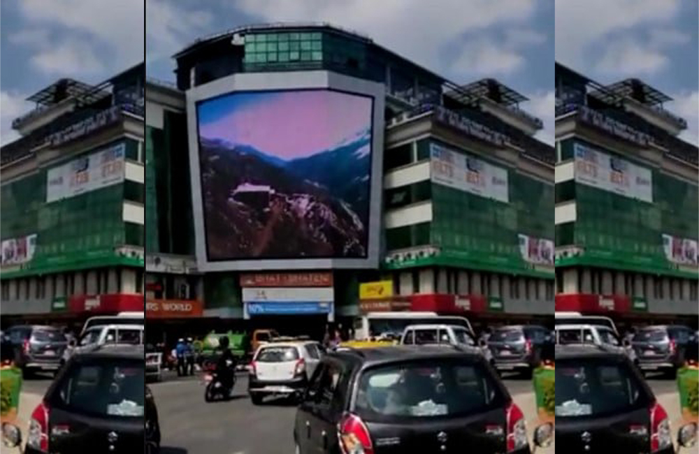 ६४ वर्ष पछि फेला पर्यो अनौठो चरा, आधा मानिस, आधा पंक्षी !