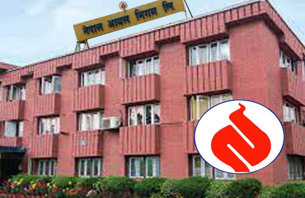 ६४ वर्ष पछि फेला पर्यो अनौठो चरा, आधा मानिस, आधा पंक्षी !