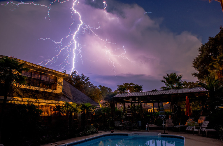 ६४ वर्ष पछि फेला पर्यो अनौठो चरा, आधा मानिस, आधा पंक्षी !