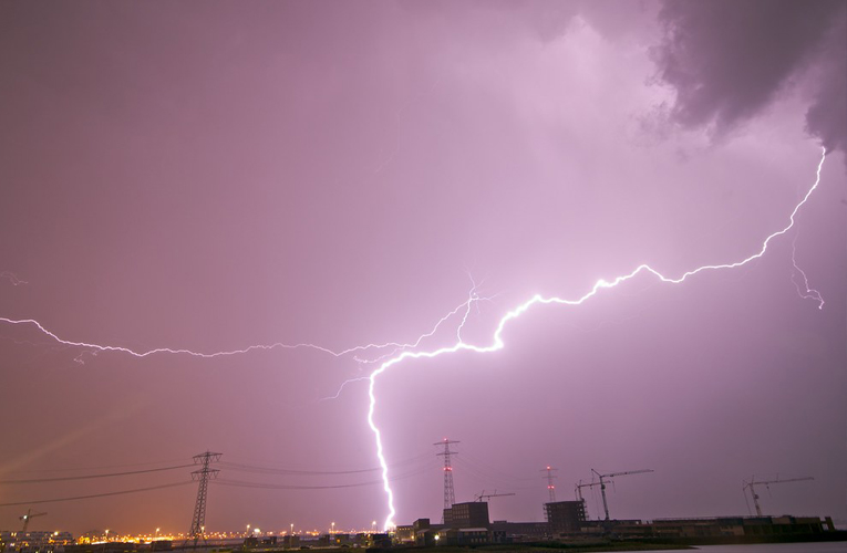 ६४ वर्ष पछि फेला पर्यो अनौठो चरा, आधा मानिस, आधा पंक्षी !