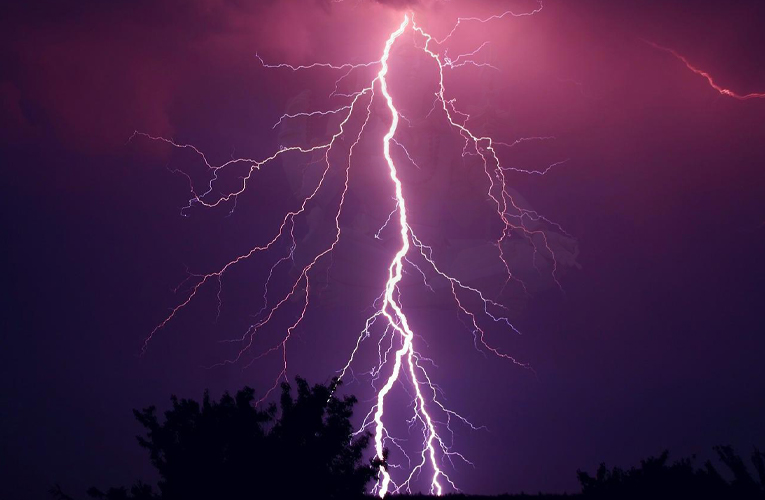 ६४ वर्ष पछि फेला पर्यो अनौठो चरा, आधा मानिस, आधा पंक्षी !