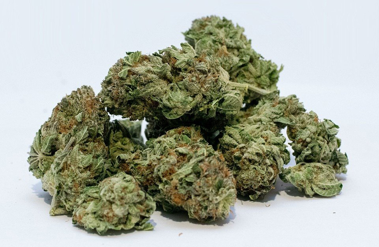 ६४ वर्ष पछि फेला पर्यो अनौठो चरा, आधा मानिस, आधा पंक्षी !