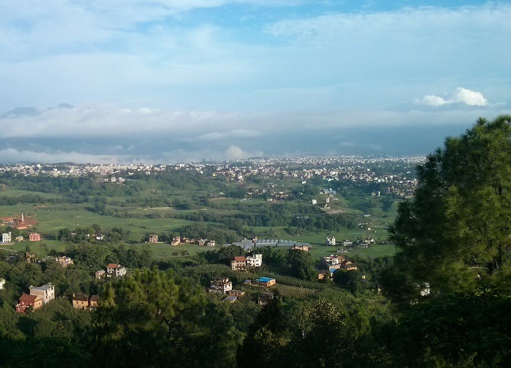 ६४ वर्ष पछि फेला पर्यो अनौठो चरा, आधा मानिस, आधा पंक्षी !