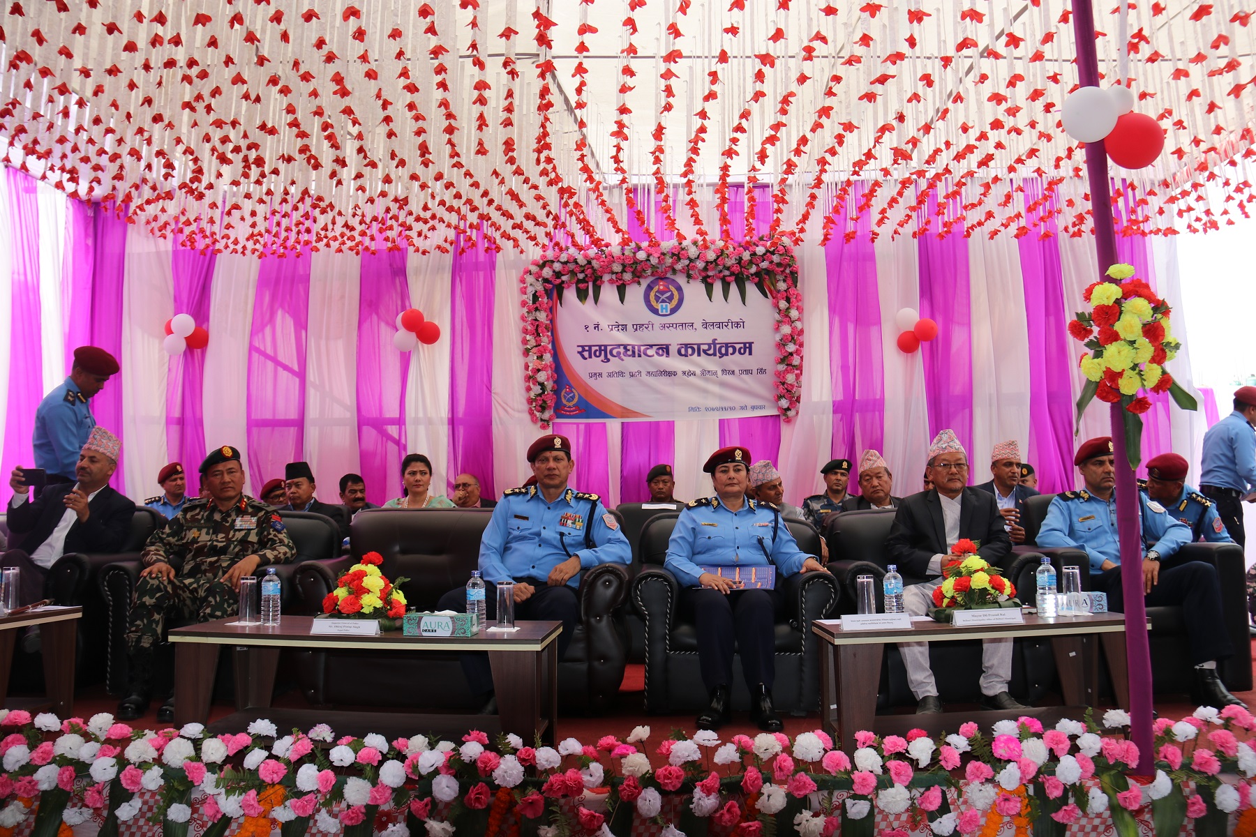 ६४ वर्ष पछि फेला पर्यो अनौठो चरा, आधा मानिस, आधा पंक्षी !