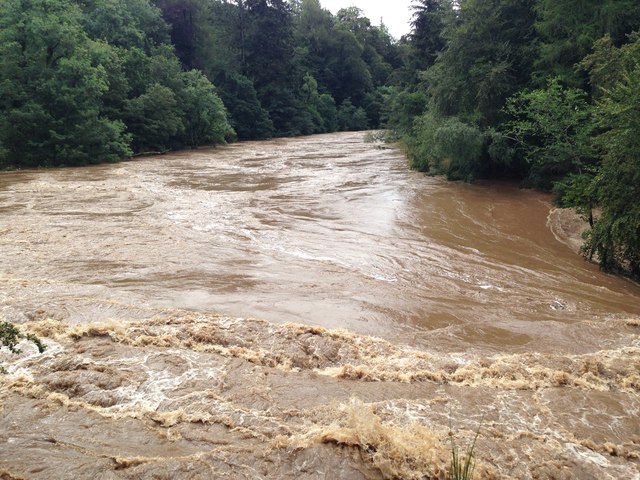 ६४ वर्ष पछि फेला पर्यो अनौठो चरा, आधा मानिस, आधा पंक्षी !