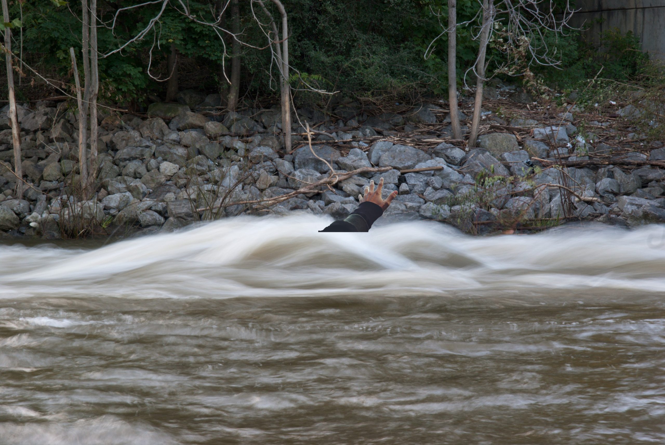 ६४ वर्ष पछि फेला पर्यो अनौठो चरा, आधा मानिस, आधा पंक्षी !