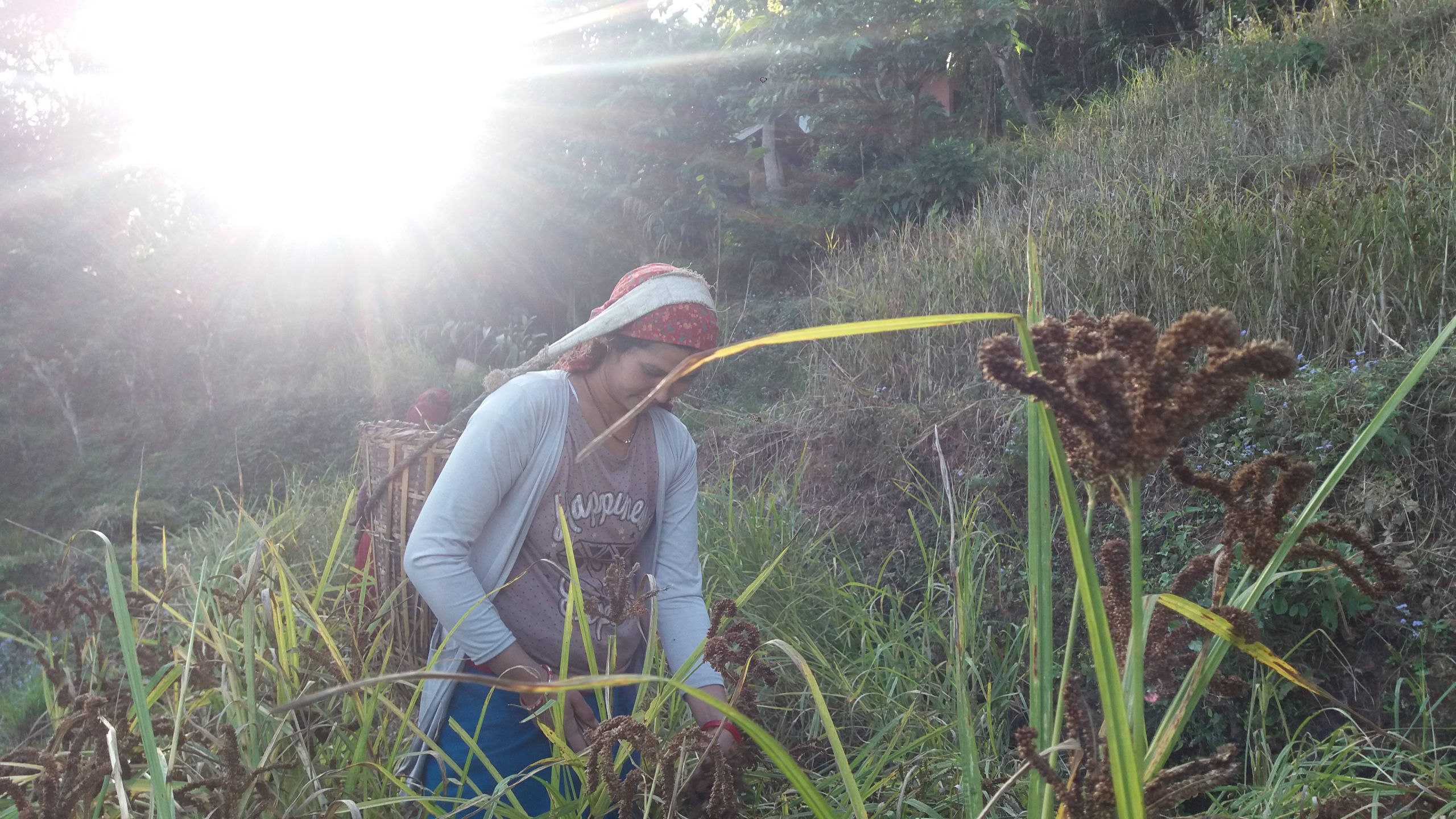 ६४ वर्ष पछि फेला पर्यो अनौठो चरा, आधा मानिस, आधा पंक्षी !