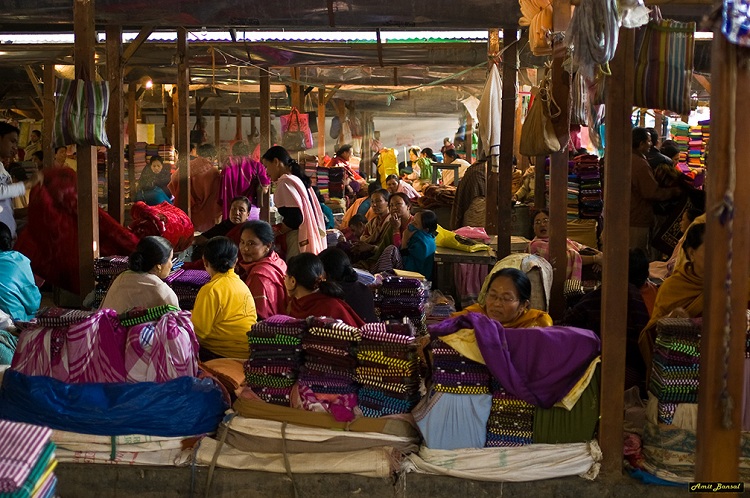 ६४ वर्ष पछि फेला पर्यो अनौठो चरा, आधा मानिस, आधा पंक्षी !