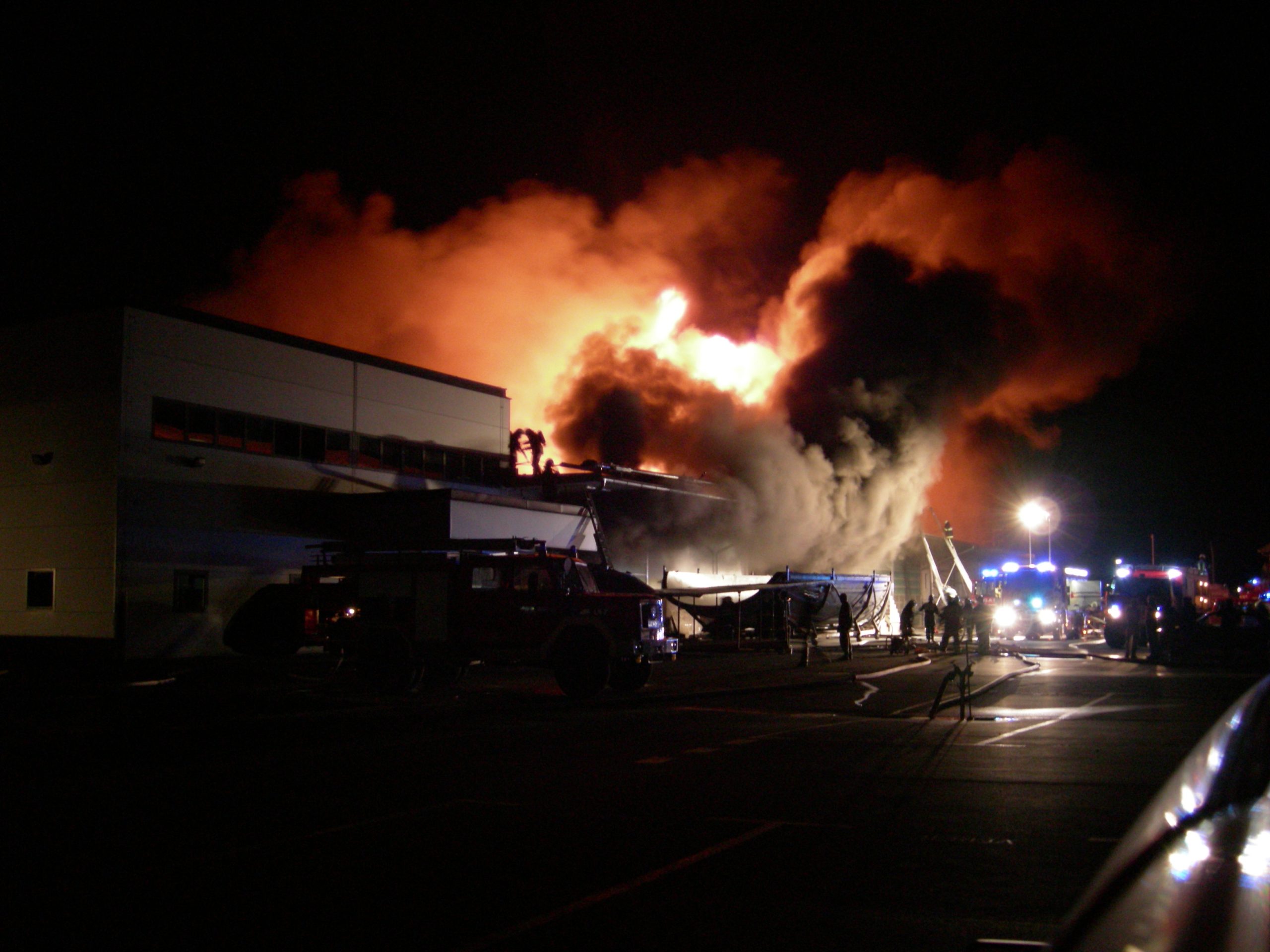 ६४ वर्ष पछि फेला पर्यो अनौठो चरा, आधा मानिस, आधा पंक्षी !