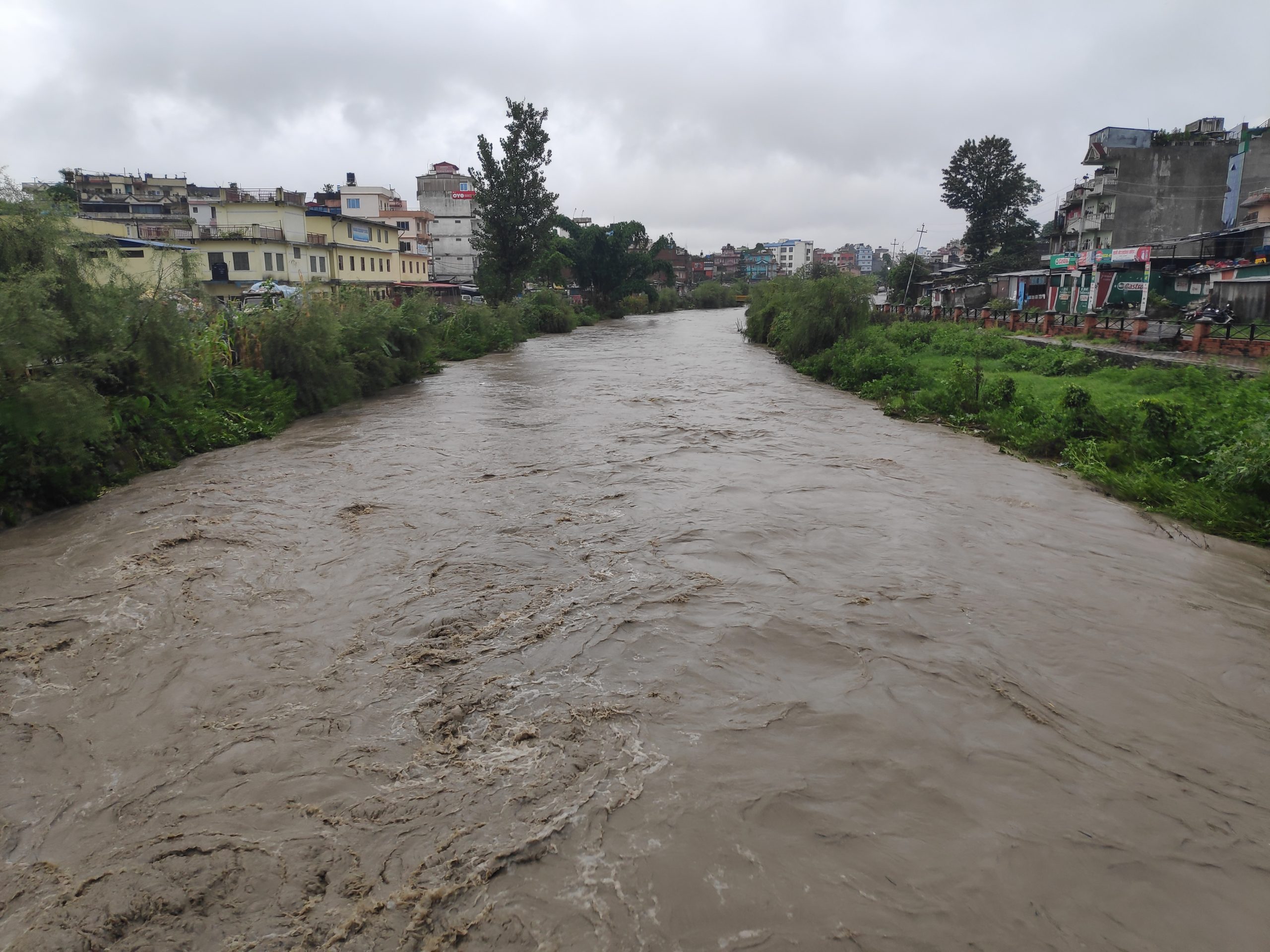६४ वर्ष पछि फेला पर्यो अनौठो चरा, आधा मानिस, आधा पंक्षी !