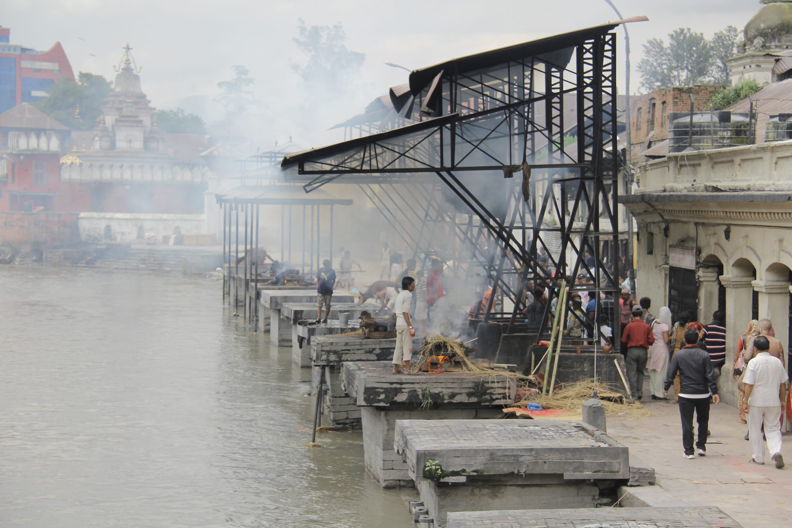 ६४ वर्ष पछि फेला पर्यो अनौठो चरा, आधा मानिस, आधा पंक्षी !