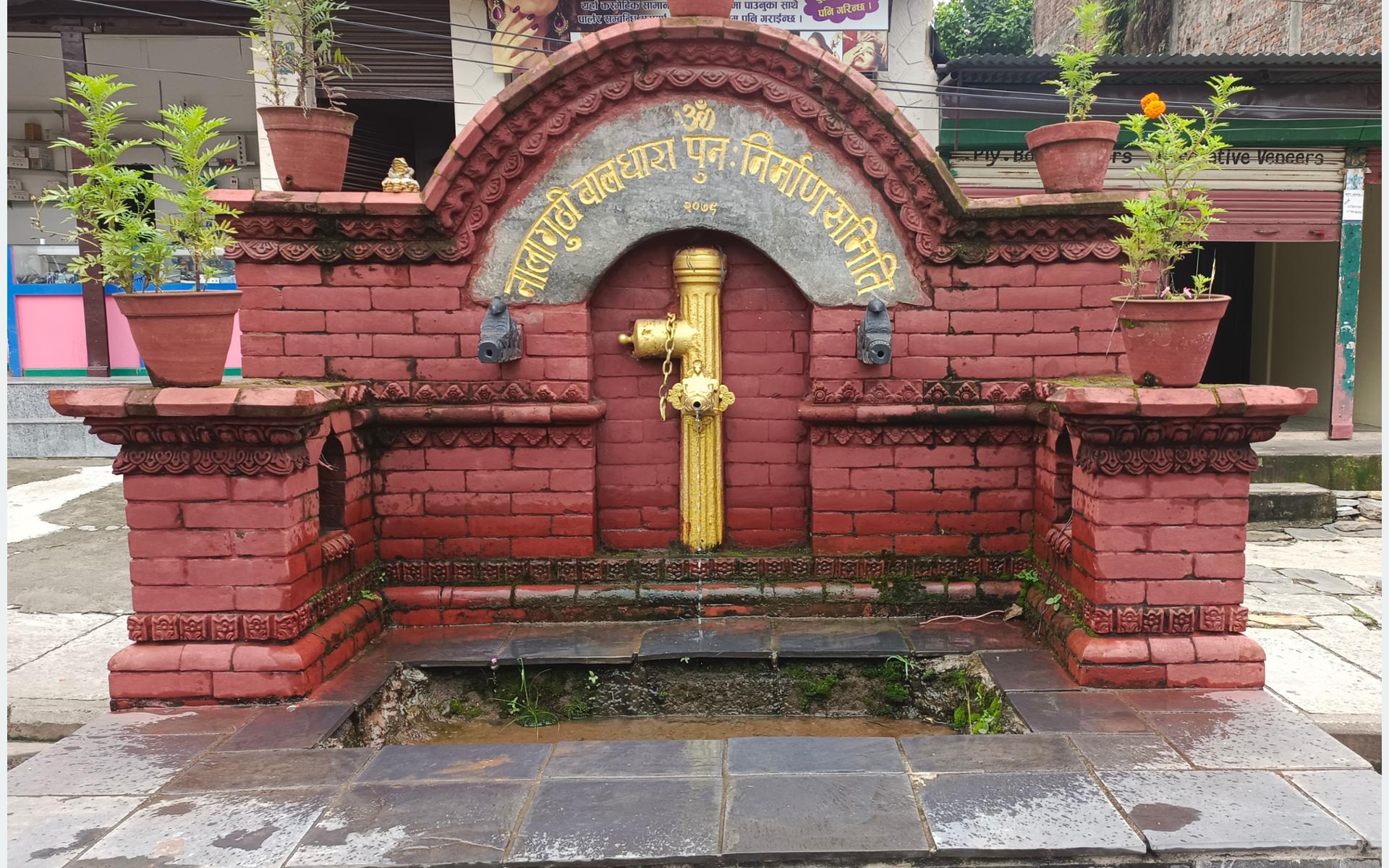 ६४ वर्ष पछि फेला पर्यो अनौठो चरा, आधा मानिस, आधा पंक्षी !