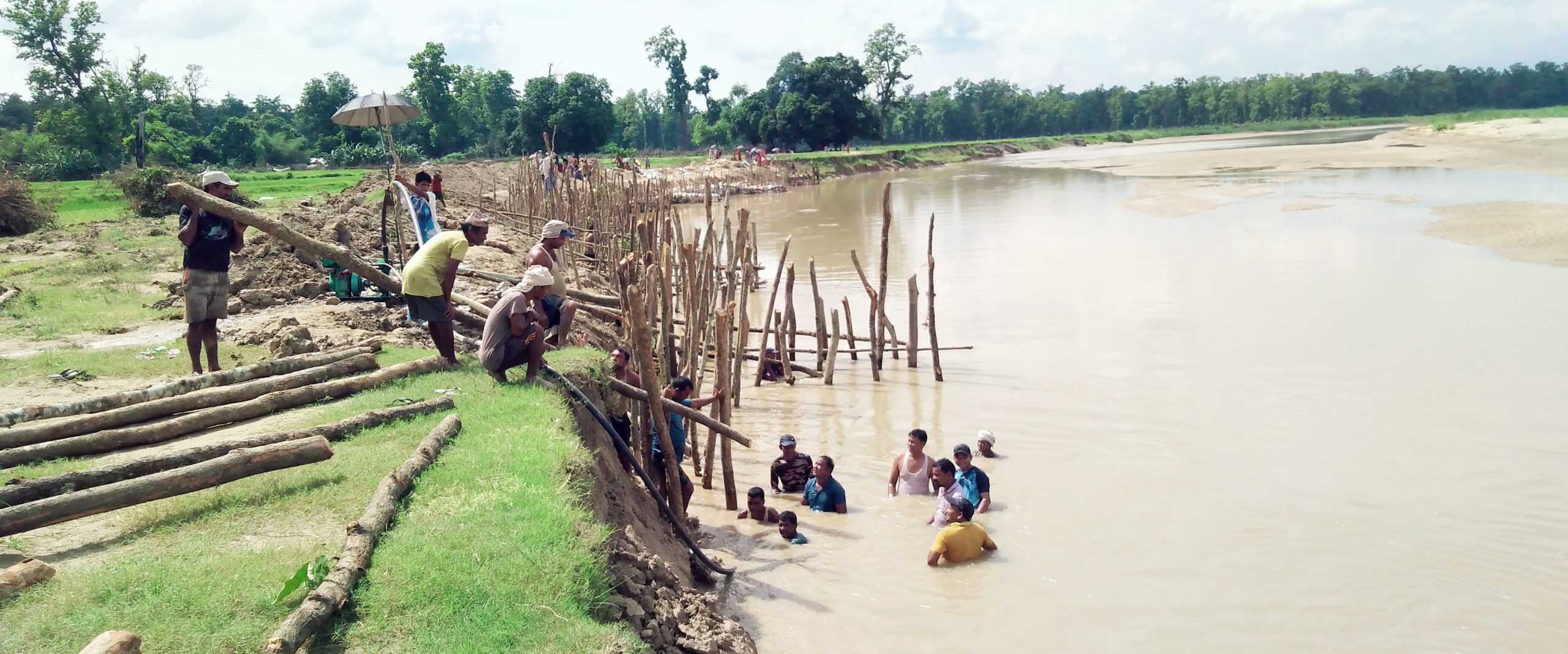 ६४ वर्ष पछि फेला पर्यो अनौठो चरा, आधा मानिस, आधा पंक्षी !