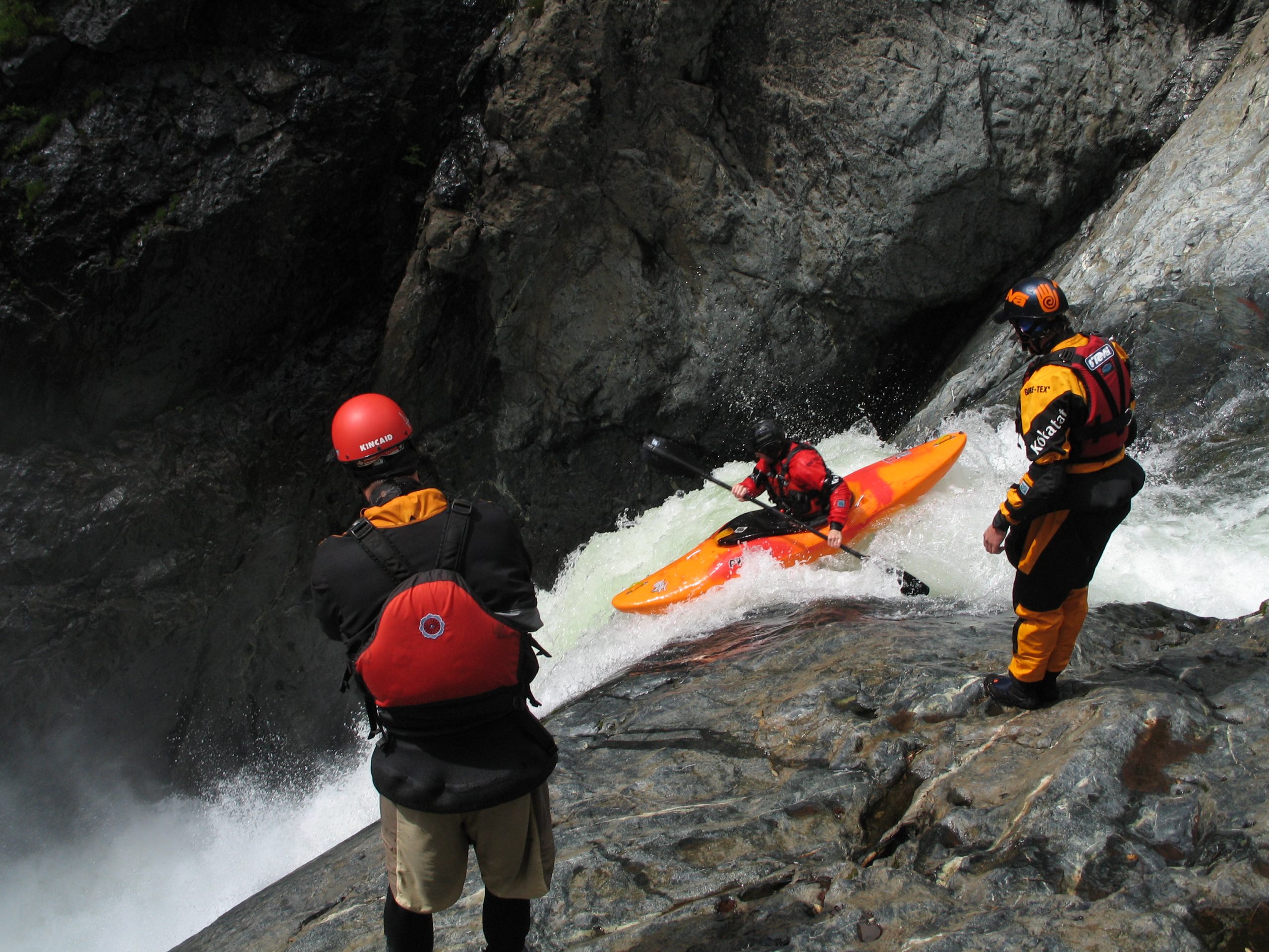 ६४ वर्ष पछि फेला पर्यो अनौठो चरा, आधा मानिस, आधा पंक्षी !