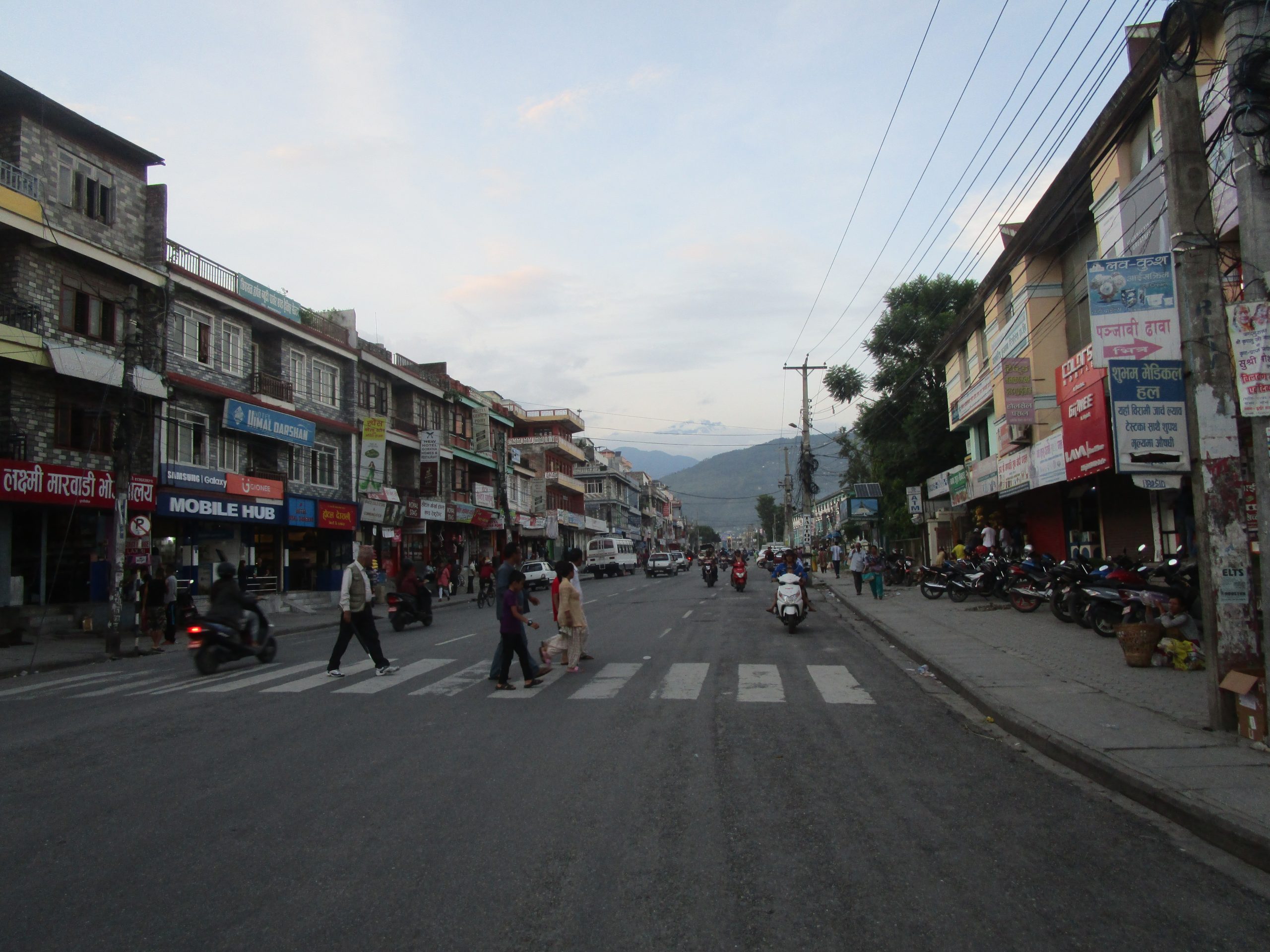 ६४ वर्ष पछि फेला पर्यो अनौठो चरा, आधा मानिस, आधा पंक्षी !