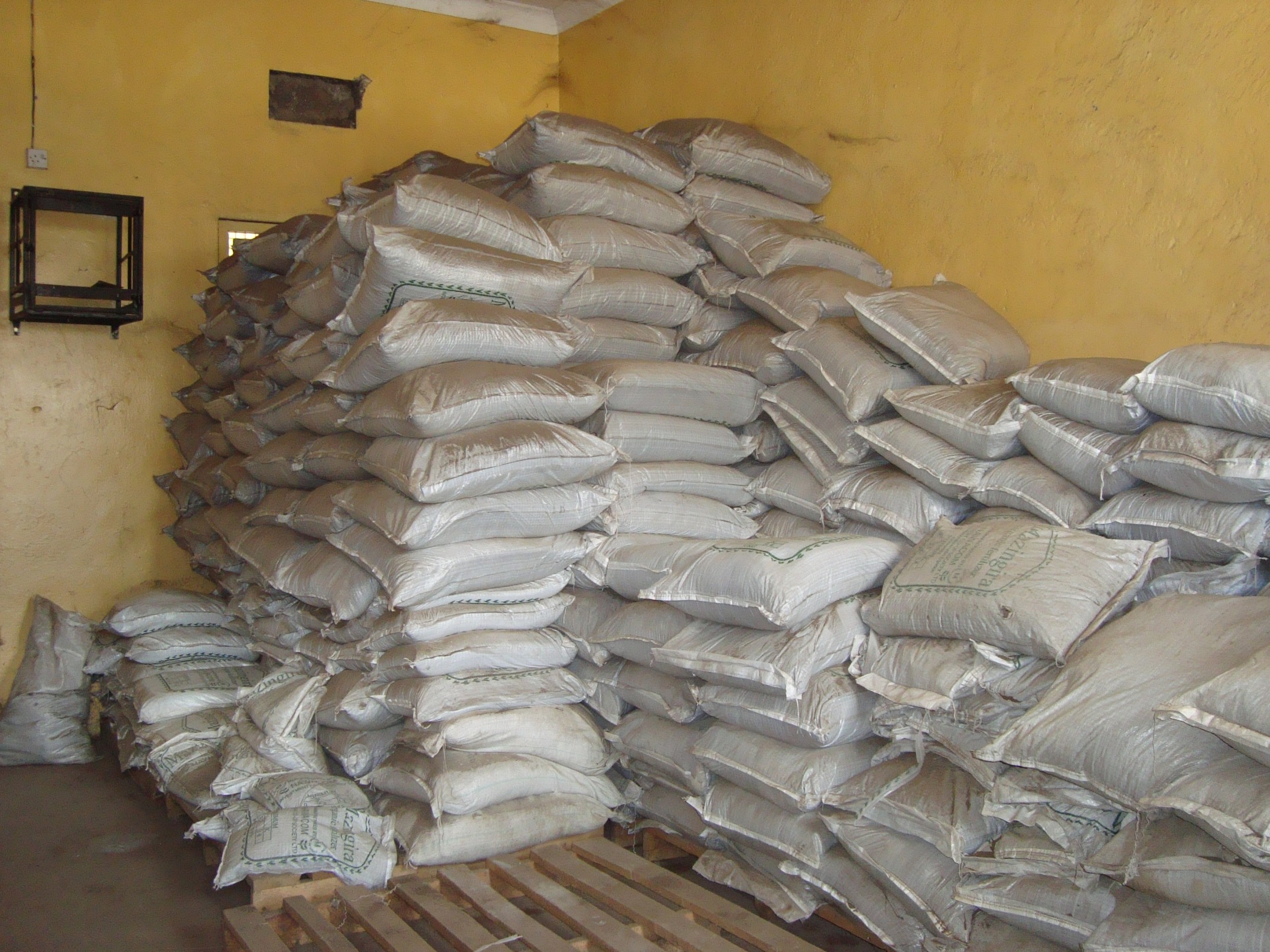 ६४ वर्ष पछि फेला पर्यो अनौठो चरा, आधा मानिस, आधा पंक्षी !