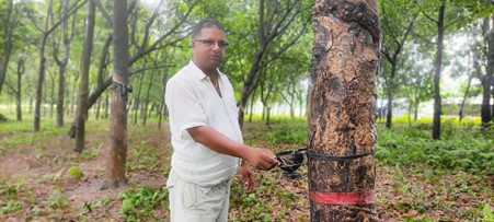 ६४ वर्ष पछि फेला पर्यो अनौठो चरा, आधा मानिस, आधा पंक्षी !