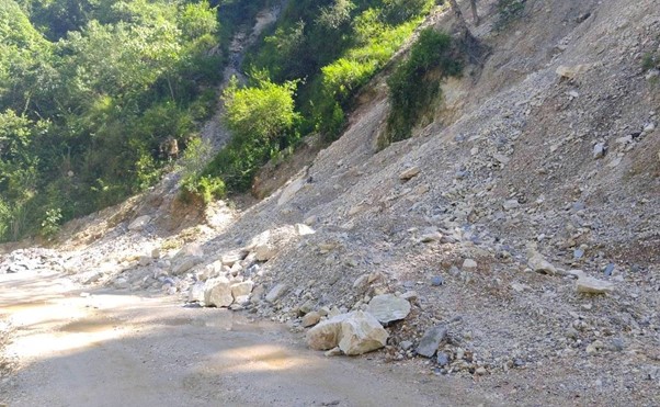 ६४ वर्ष पछि फेला पर्यो अनौठो चरा, आधा मानिस, आधा पंक्षी !