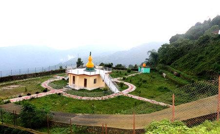 ६४ वर्ष पछि फेला पर्यो अनौठो चरा, आधा मानिस, आधा पंक्षी !